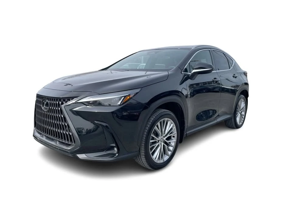 2024 Lexus NX 2nd Gen - Image 6 of 20