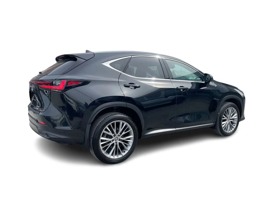 2024 Lexus NX 2nd Gen - Image 15 of 20
