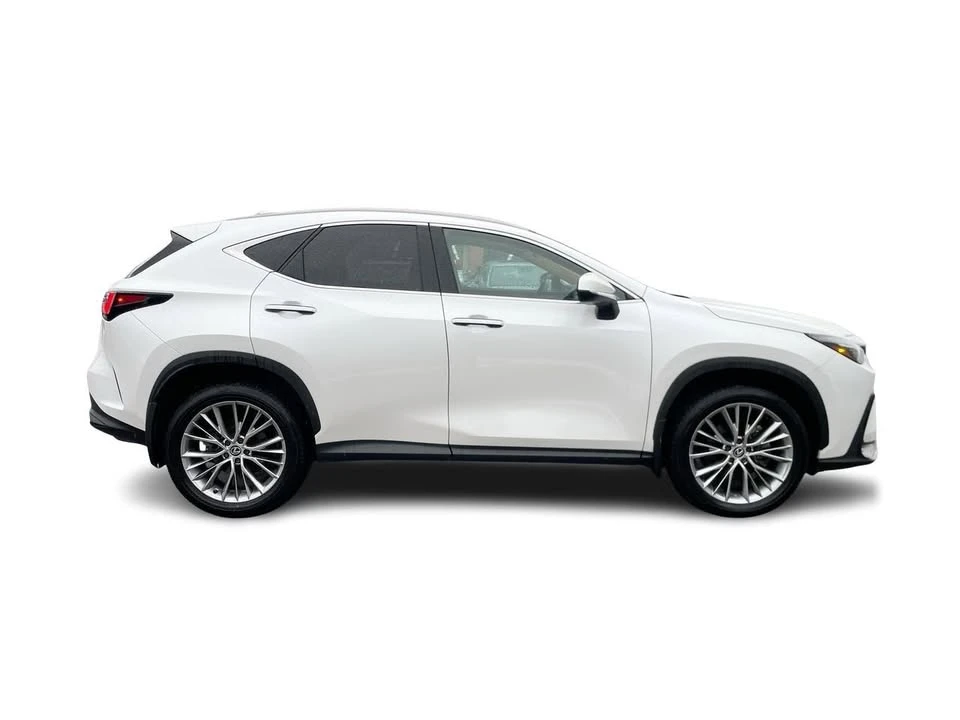 2024 Lexus NX 2nd Gen - Image 8 of 18