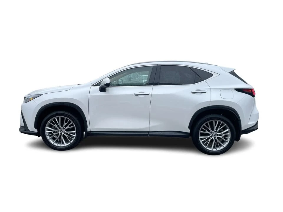 2024 Lexus NX 2nd Gen - Image 4 of 18