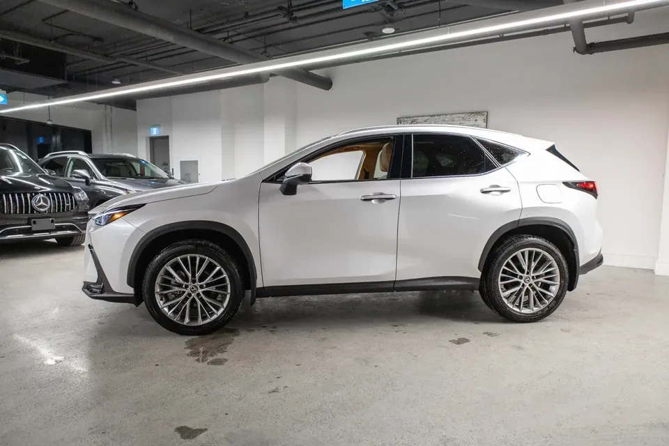 2024 Lexus NX 2nd Gen - Image 10 of 12