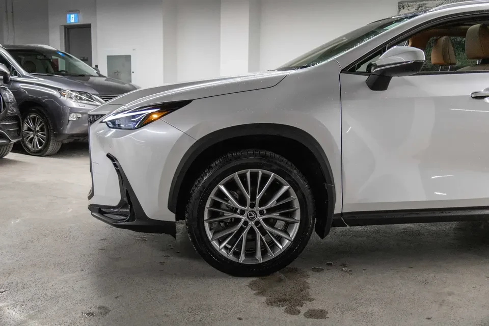 2024 Lexus NX 2nd Gen - Image 4 of 12