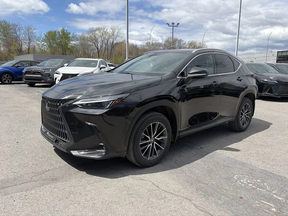 2024 Lexus NX 2nd Gen - Image 6 of 19