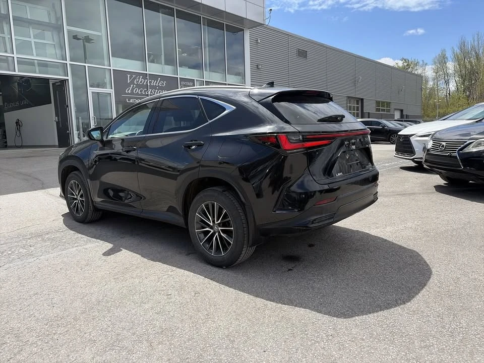 2024 Lexus NX 2nd Gen - Image 10 of 19