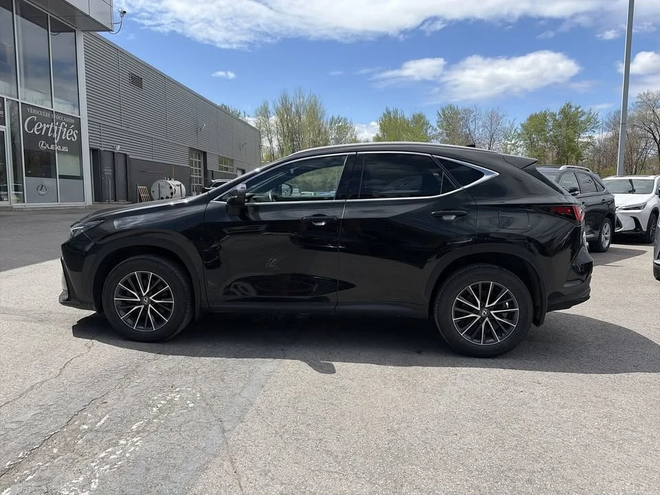 2024 Lexus NX 2nd Gen - Image 8 of 19