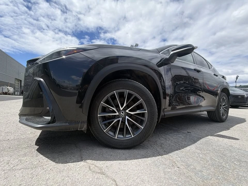 2024 Lexus NX 2nd Gen - Image 18 of 19