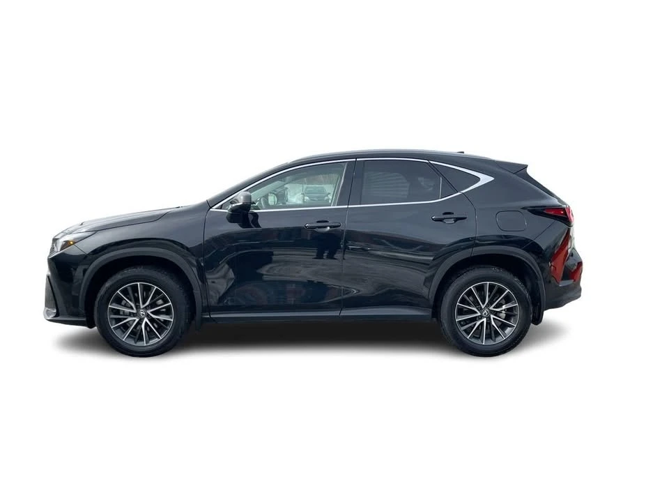 2024 Lexus NX 2nd Gen - Image 4 of 20