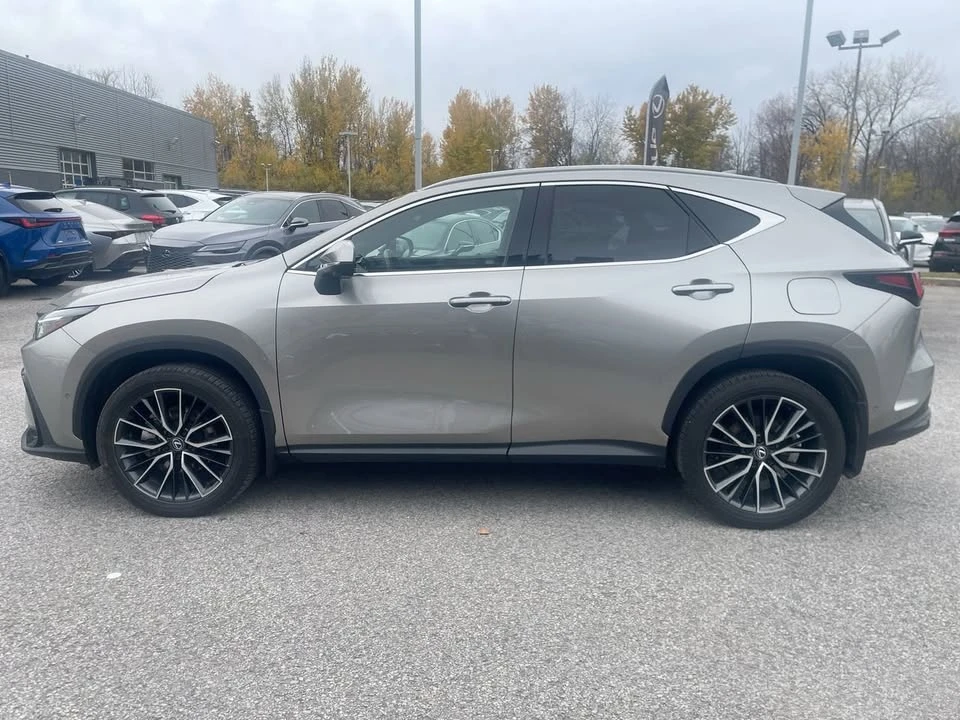 2024 Lexus NX 2nd Gen - Image 8 of 20