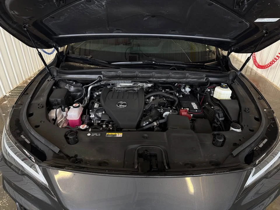 2024 Lexus RX 5th Gen - Image 14 of 14