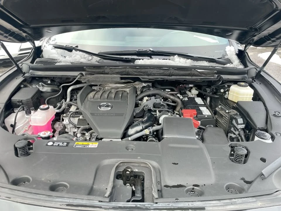 2024 Lexus RX 5th Gen - Image 17 of 19