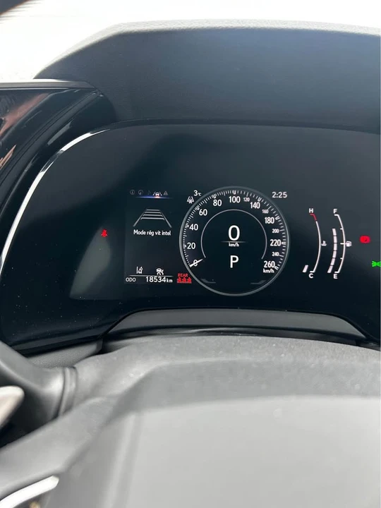 2024 Lexus RX 5th Gen - Image 13 of 13