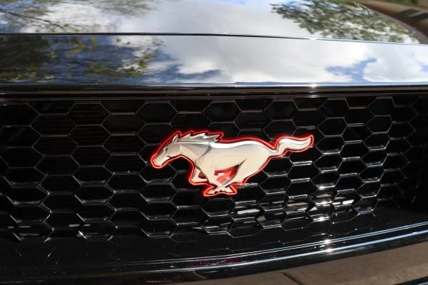 2024 Ford S650 Mustang - Image 5 of 21