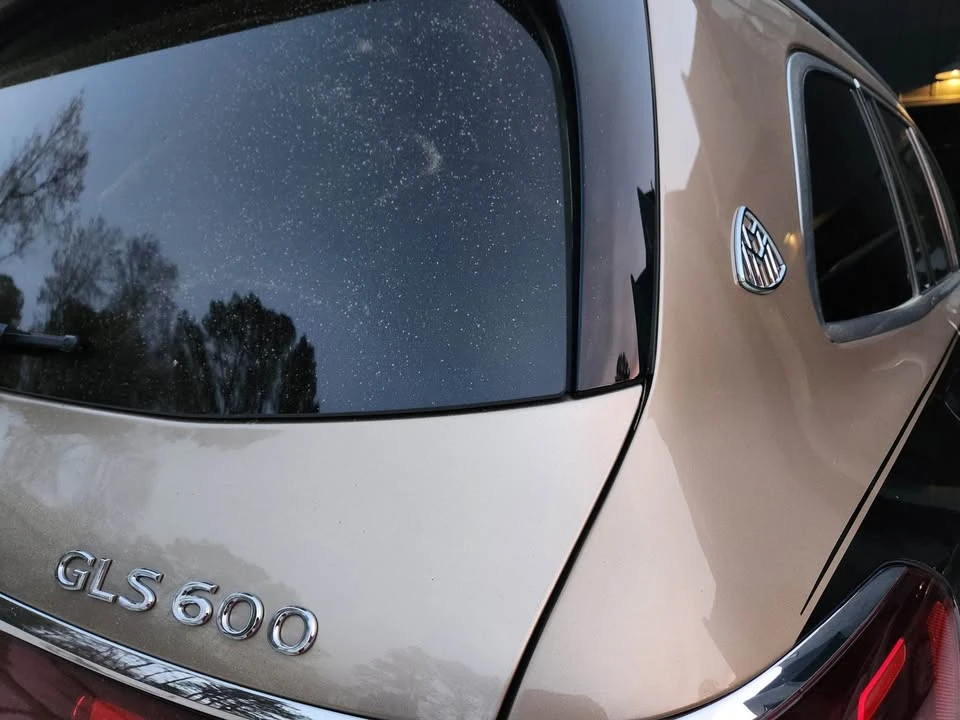 2024 Maybach - Image 5 of 8