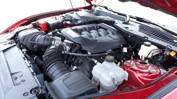 2024 Ford S650 Mustang - Image 14 of 21