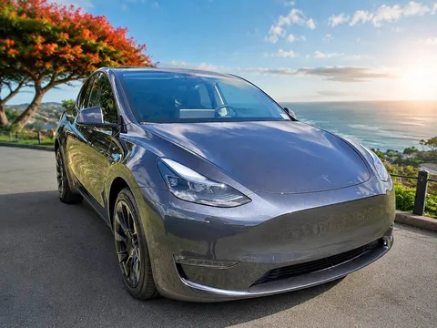 2024 Tesla Model Y Long Range