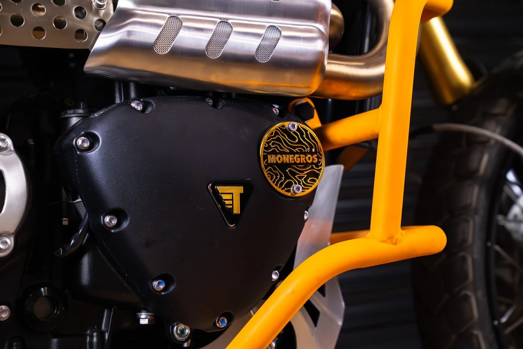 2024 Triumph - Image 13 of 13