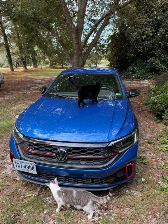 2024 Volkswagen A7 Jetta - Image 3 of 7