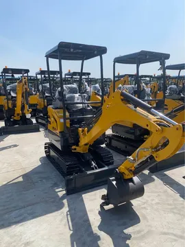 2024 Mini Excavator