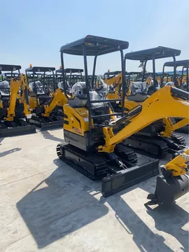2024 Mini Excavator