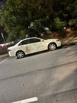 2025 Acura TSX