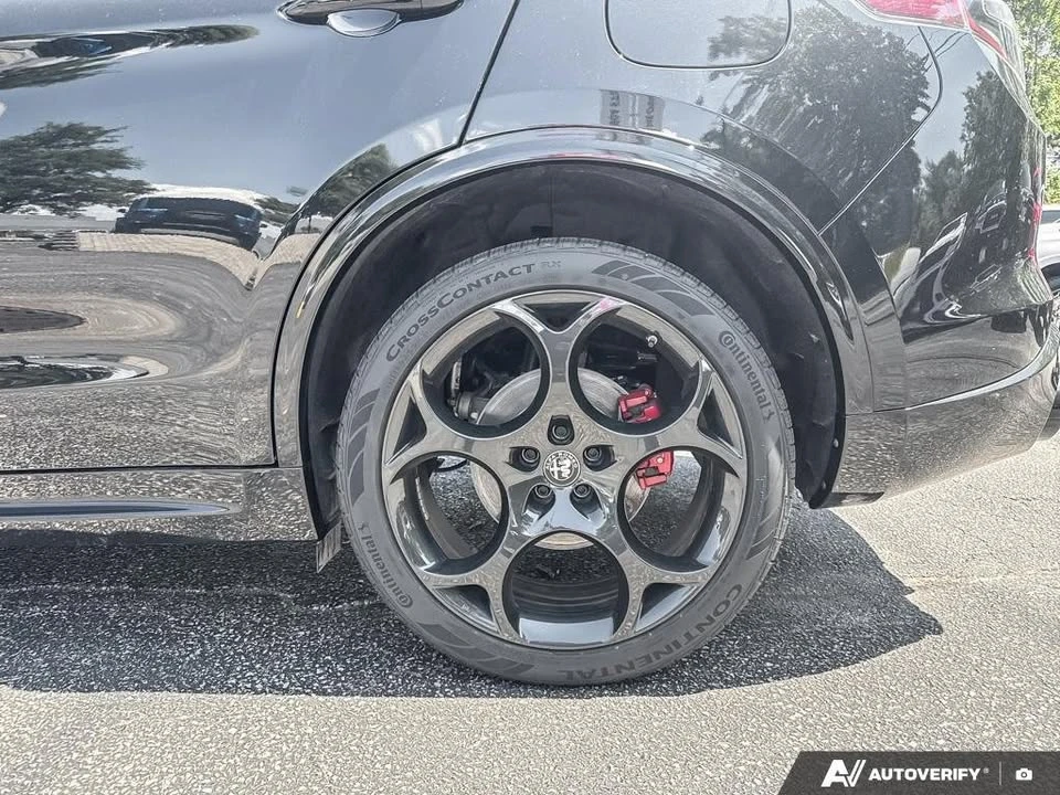 2025 Alfa Romeo Stelvio - Image 11 of 16