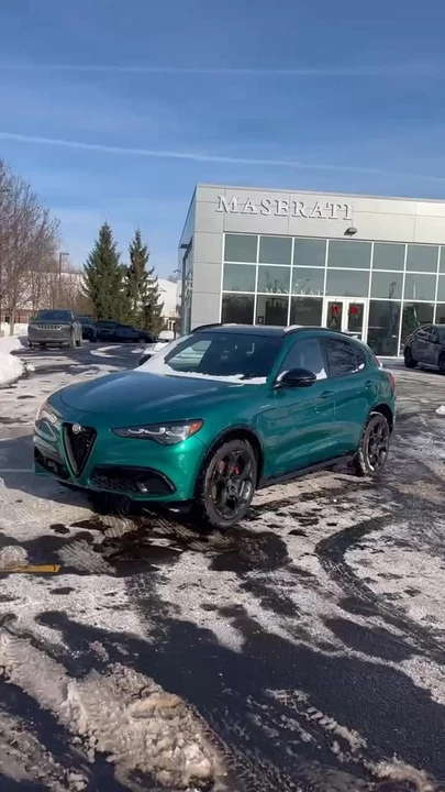 2025 Alfa Romeo Stelvio - Image 16 of 16