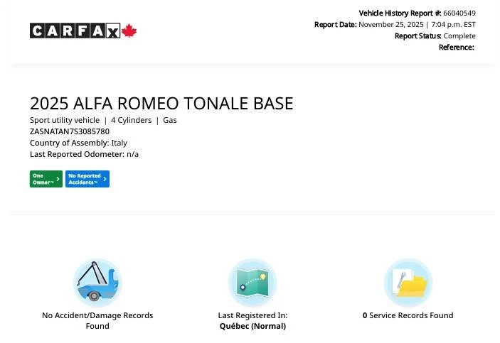 2025 Alfa Romeo Tonale - Image 13 of 13