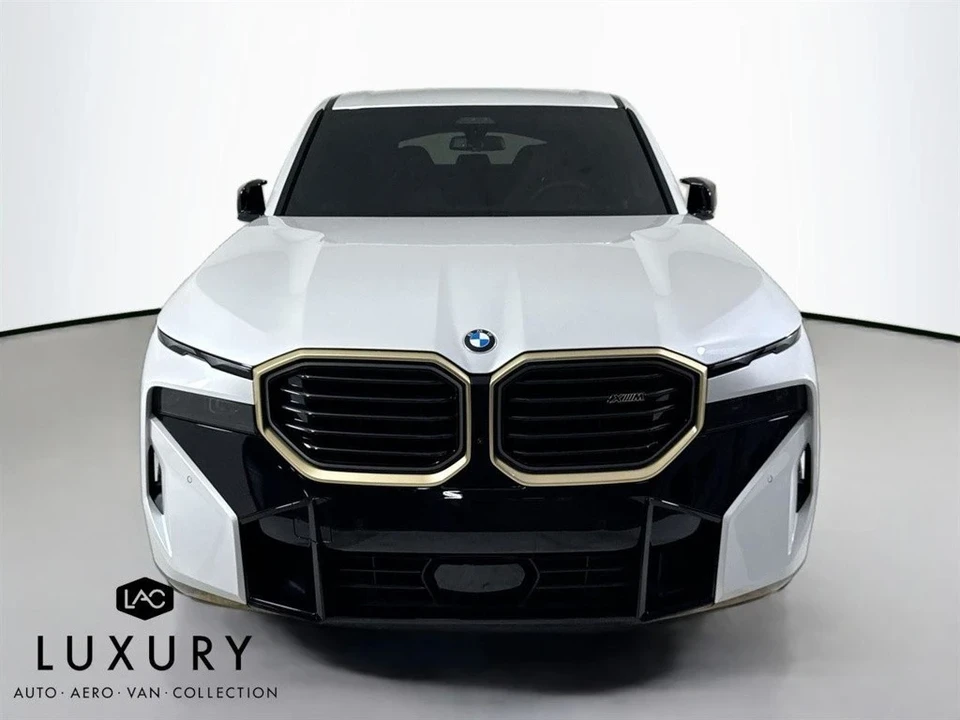 2025 BMW XM - Image 10 of 12