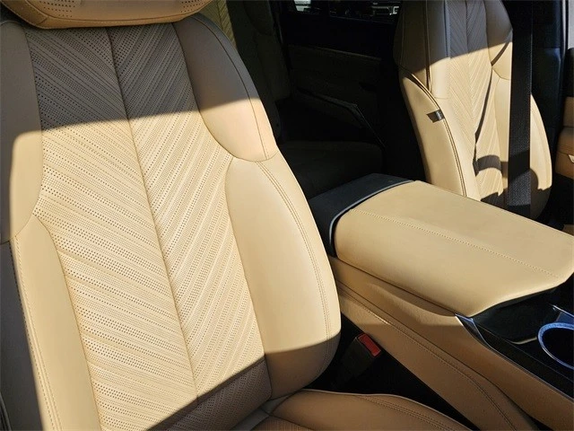 2025 Cadillac Escalade IQ - Image 18 of 21