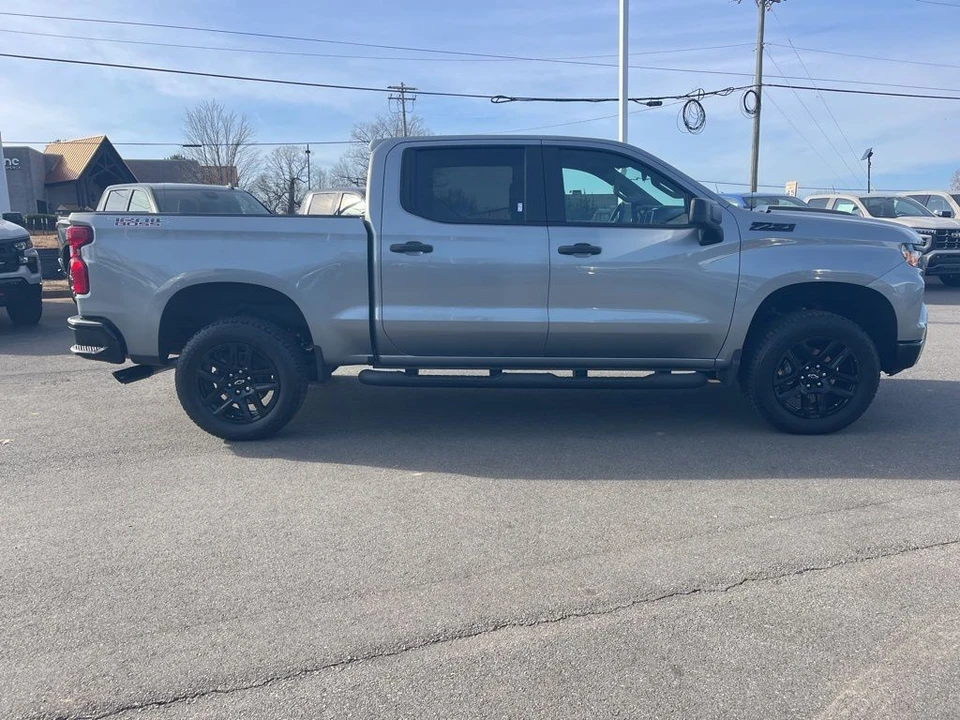 2025 Chevrolet Silverado 4th Gen - Image 6 of 12