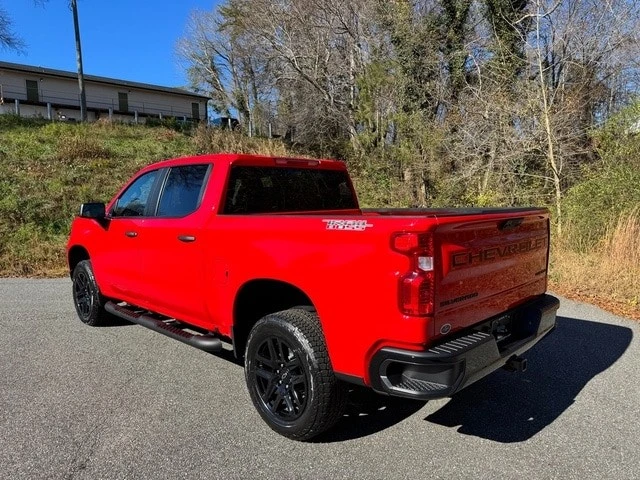 2025 Chevrolet Silverado 4th Gen - Image 9 of 12