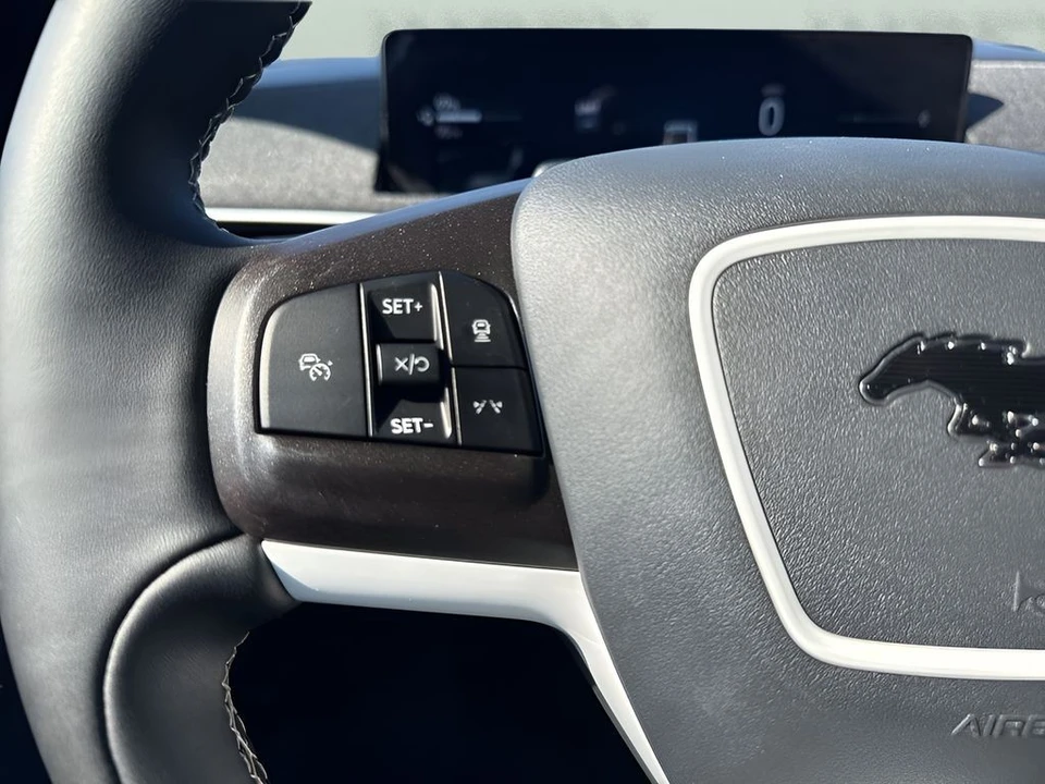 2025 Ford Mustang Mach-E - Image 15 of 31