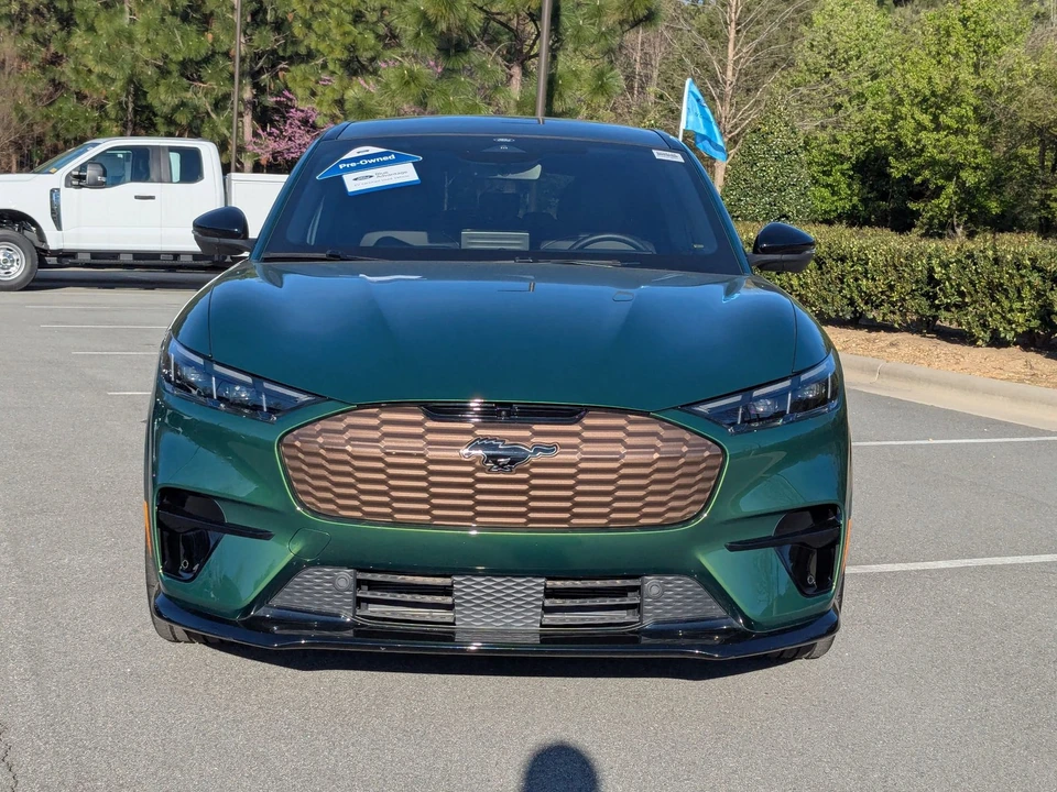2025 Ford Mustang Mach-E - Image 9 of 21