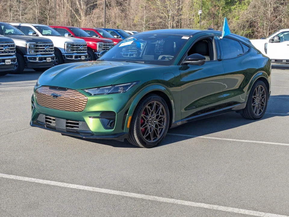2025 Ford Mustang Mach-E - Image 8 of 21