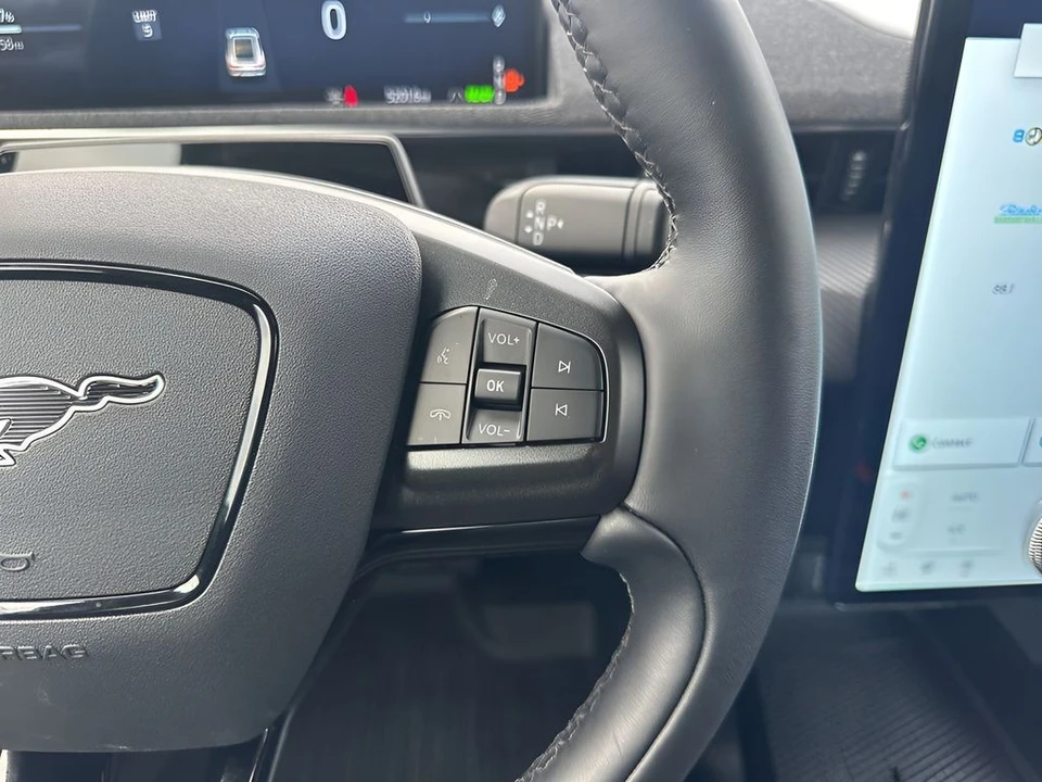 2025 Ford Mustang Mach-E - Image 16 of 21