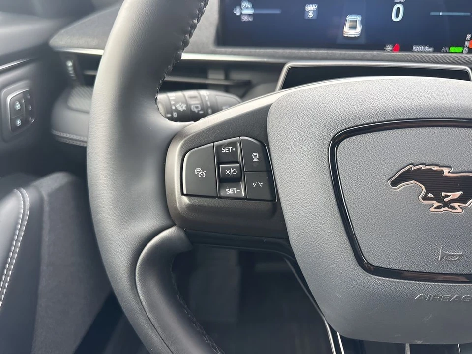 2025 Ford Mustang Mach-E - Image 15 of 21