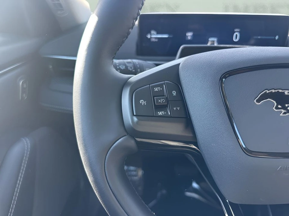 2025 Ford Mustang Mach-E - Image 14 of 21
