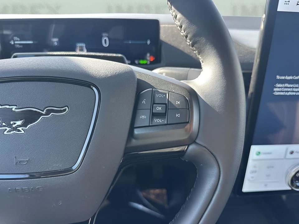 2025 Ford Mustang Mach-E - Image 15 of 21