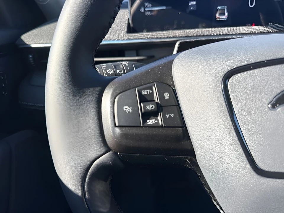 2025 Ford Mustang Mach-E - Image 15 of 21