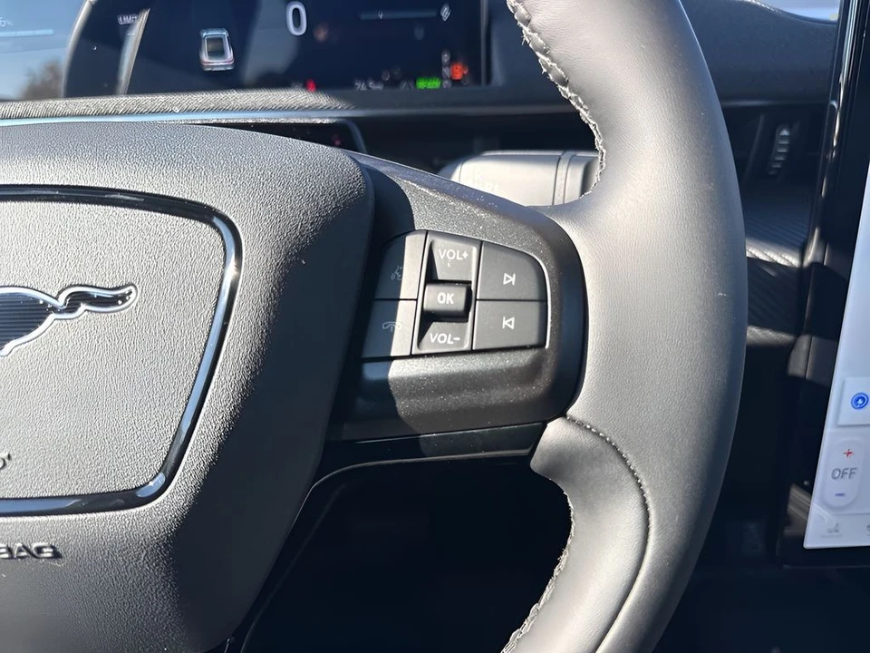 2025 Ford Mustang Mach-E - Image 16 of 21