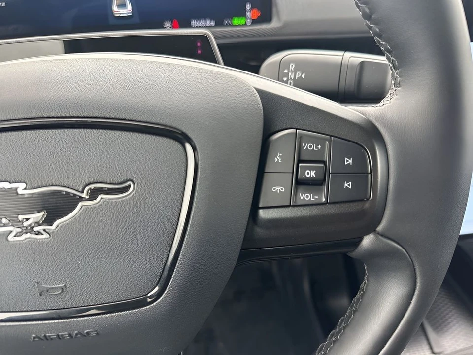 2025 Ford Mustang Mach-E - Image 15 of 21