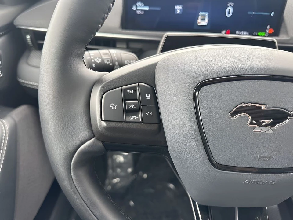 2025 Ford Mustang Mach-E - Image 14 of 21