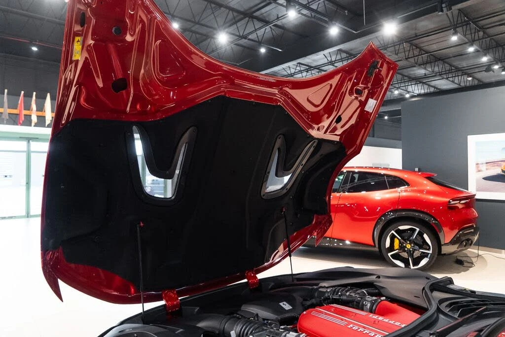 2025 Ferrari 12Cilindri - Image 17 of 31