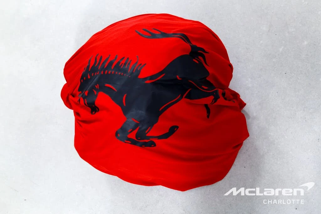 2025 Ferrari 12Cilindri - Image 24 of 31