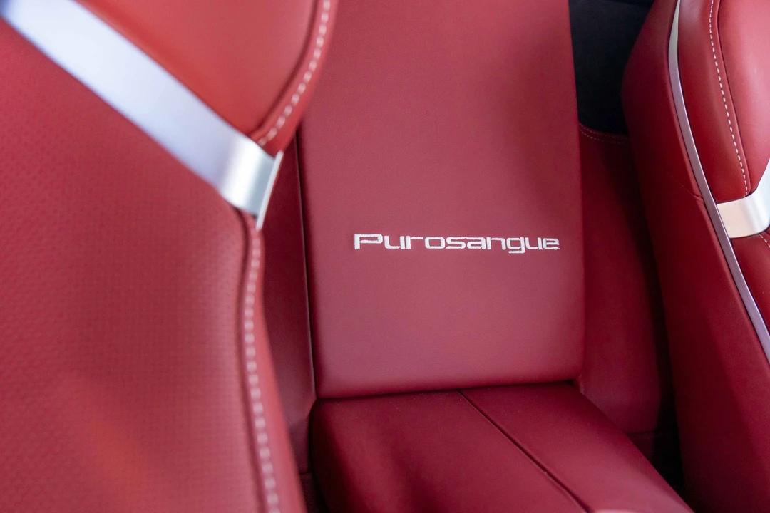 2025 Ferrari Purosangue - Image 13 of 21