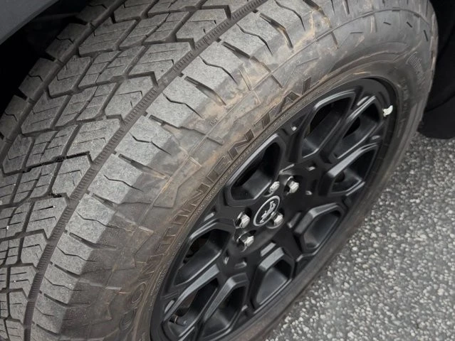 2025 Ford Bronco Sport - Image 12 of 12