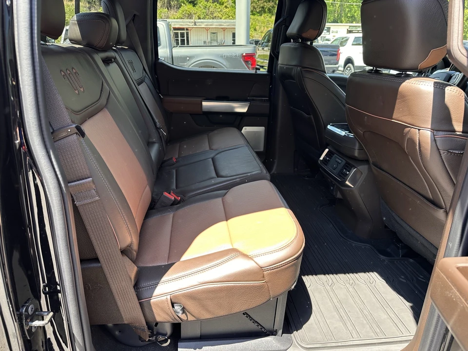 2025 Ford F-150 14th Gen - Image 19 of 31