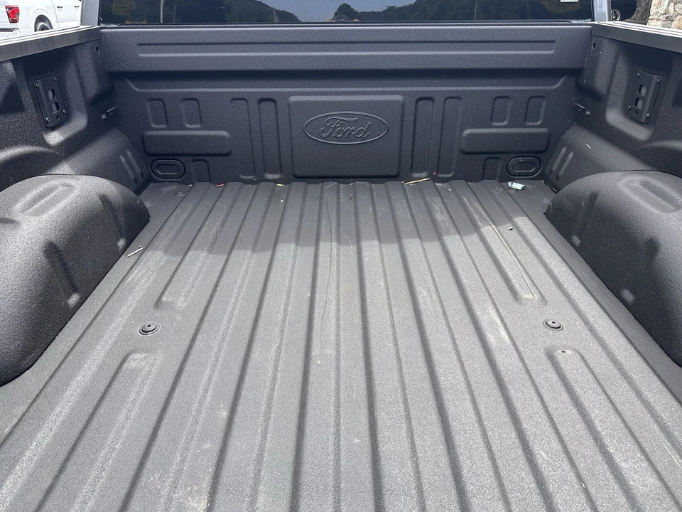 2025 Ford F-150 Raptor 14th Gen - Image 11 of 31