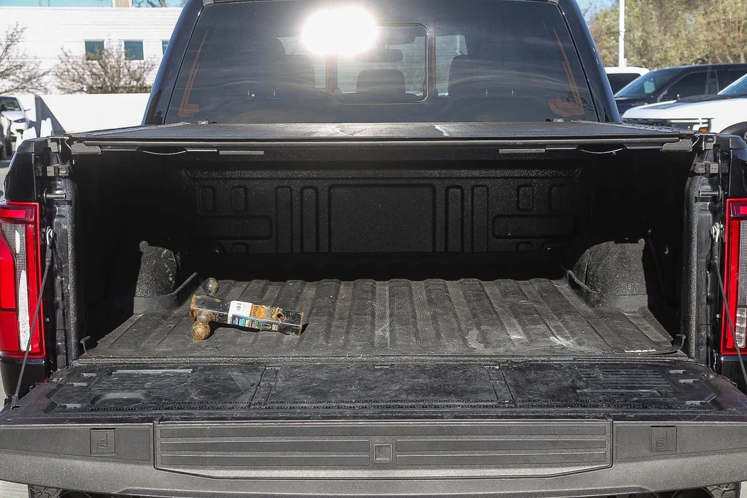 2025 Ford F-150 Raptor 14th Gen - Image 24 of 31
