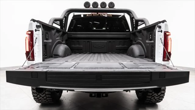2025 Ford F-150 Raptor 14th Gen - Image 16 of 31